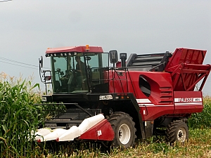 PALESSE MS6