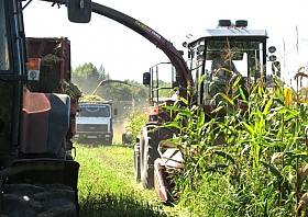 PARTICIPATION OF HOLDING “GOMSELMASH” IN SEMINARS
