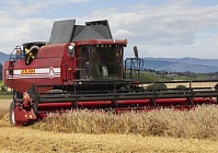 “GOMSELMASH” AND BRITISH PERKINS WORKING ON INNOVATIVE HARVESTER