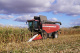 Grain harvesting combine GR700