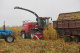 Maize headers