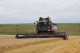 Grain harvesting combine GS2124