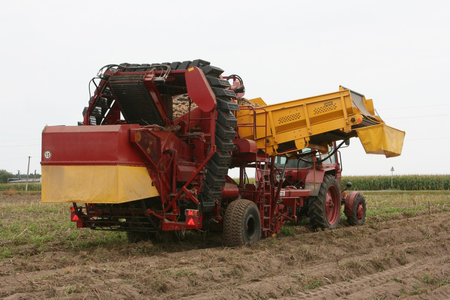 Semi-trailed potato harvester PT25