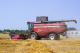 Grain harvesting combine GH800 / GH810
