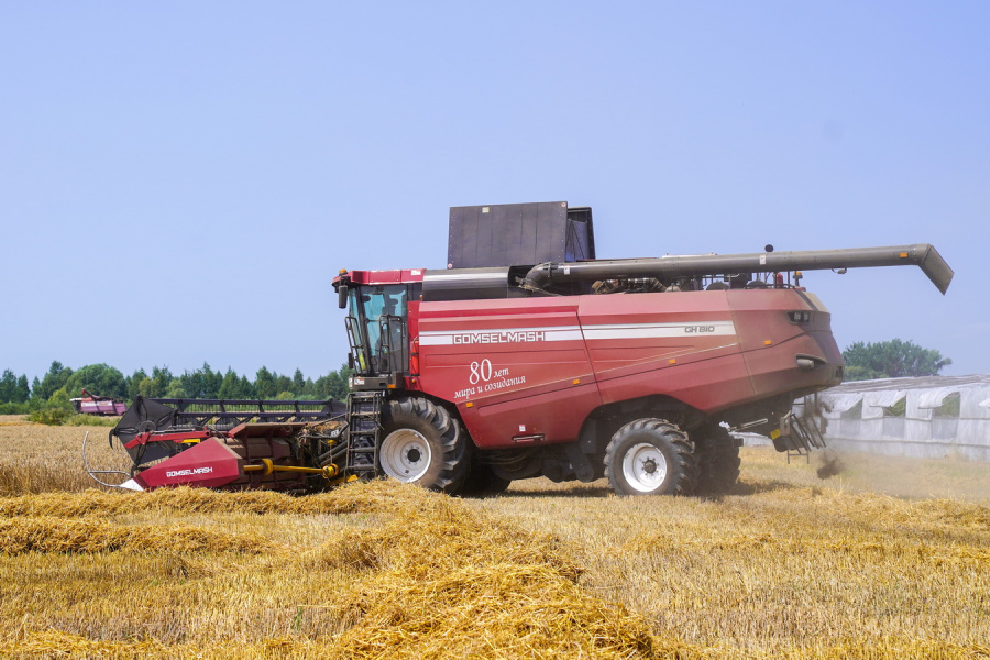 Grain harvesting combine GH800 / GH810