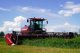 SELF-PROPELLED WINDROWER CS140