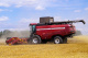 Grain harvesting combine GH800 / GH810