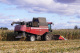 Grain harvesting combine GR700