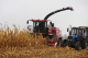 Maize headers