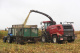 Forage harvester FS650