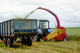 Mounted rotary mower-shredder CH15