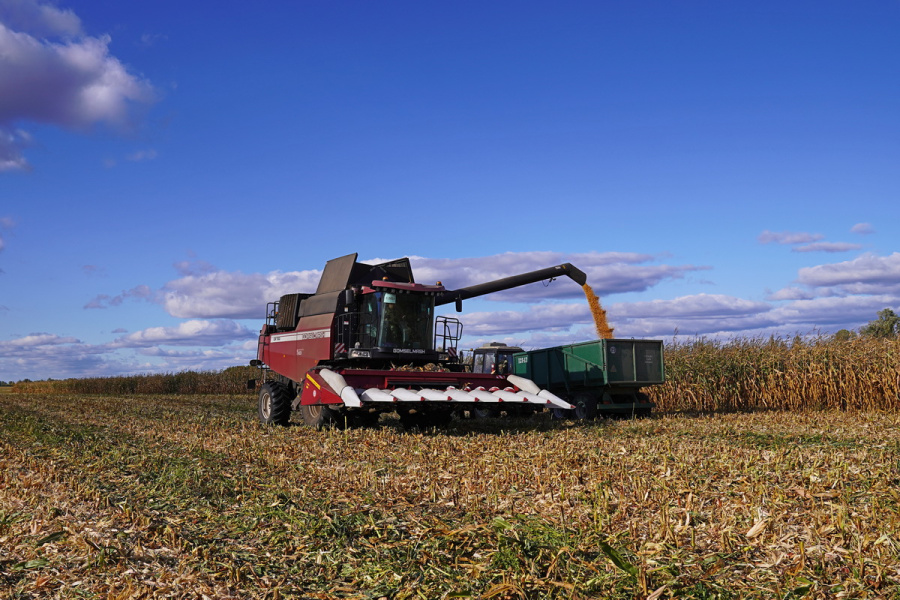 Grain harvesting combine GR700