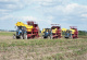 Semi-trailed potato harvester PT25