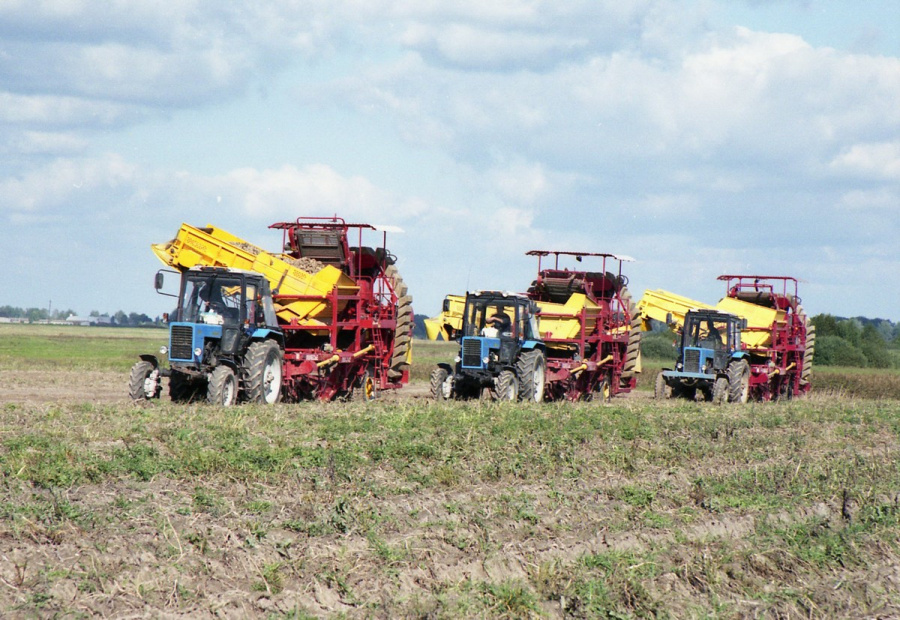 Semi-trailed potato harvester PT25