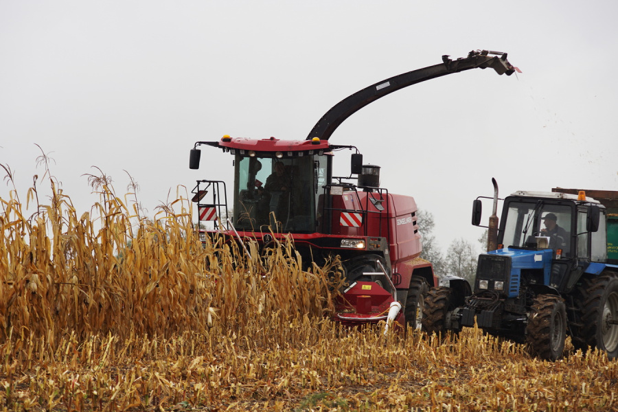 Forage harvester FS650