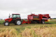 SEMI-TRAILED POTATO HARVESTER WITH LATERAL DIGGING PT260-2