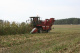 Corn harvester ES4