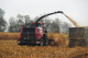 Maize headers