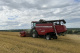 Grain harvesting combine GS400